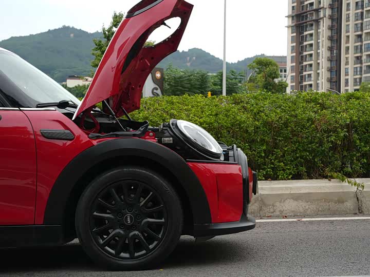 Фото 35 - Mini Mini