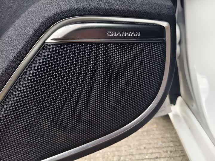 Фото 16 - Changan Raeton CC