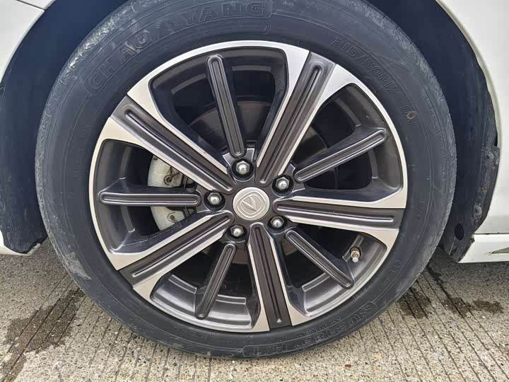 Фото 18 - Changan Raeton CC