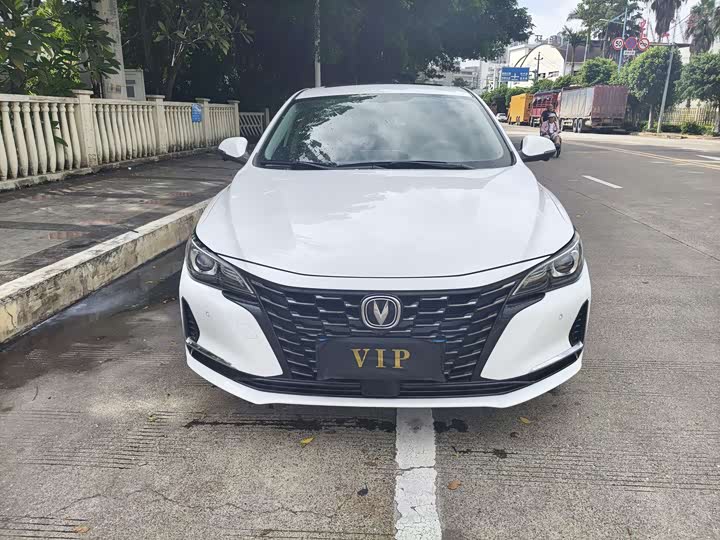 Фото 2 - Changan Raeton CC