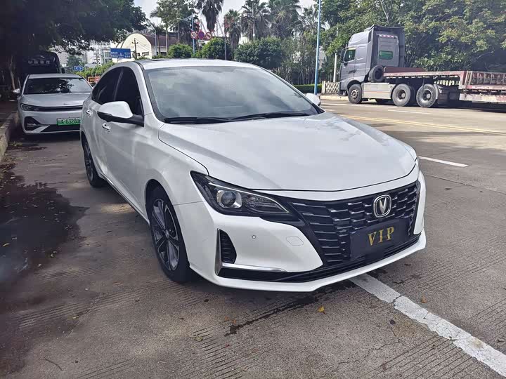 Фото 3 - Changan Raeton CC