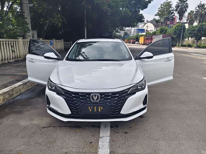 Фото 4 - Changan Raeton CC