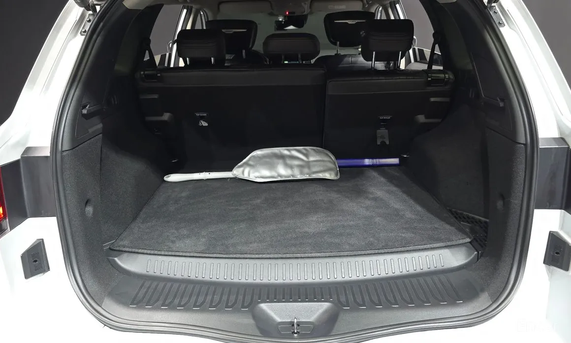 Фото 20 - Renault QM6