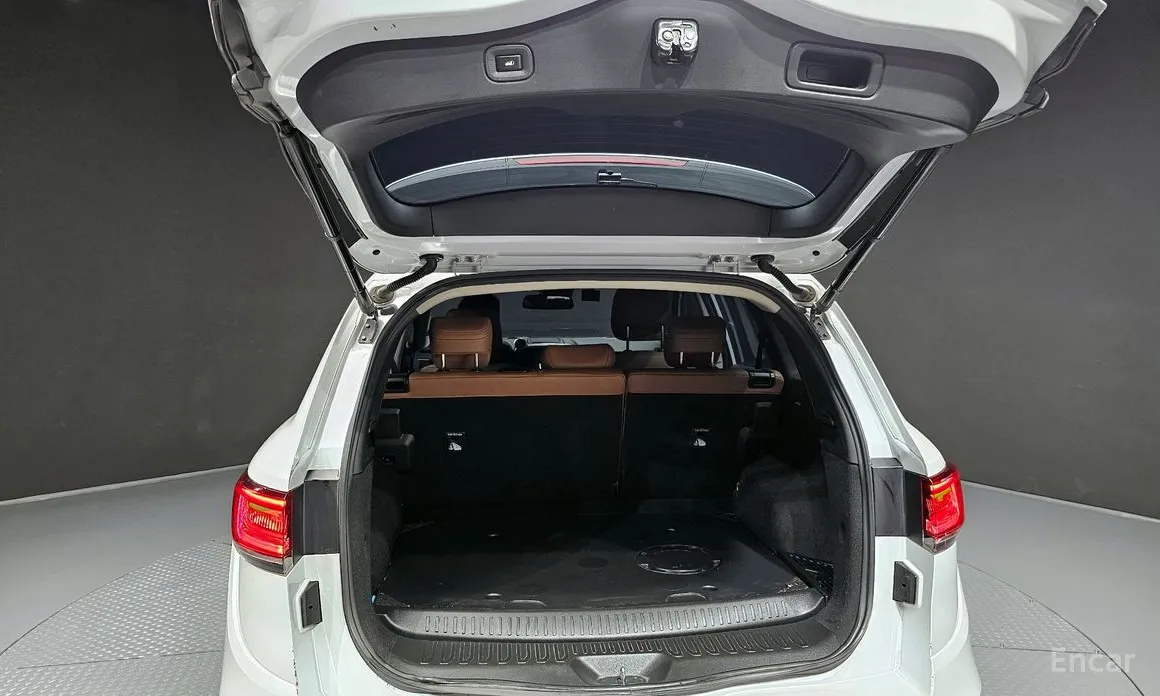 Фото 20 - Renault QM6