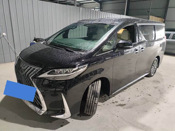 Фото 1 - Lexus LM