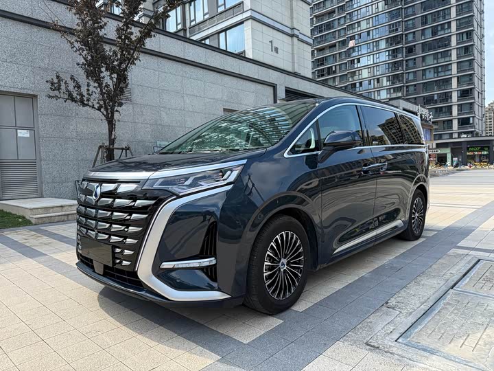 Фото 1 - Denza D9