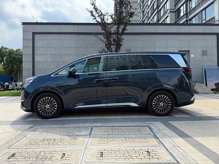 Фото 19 - Denza D9