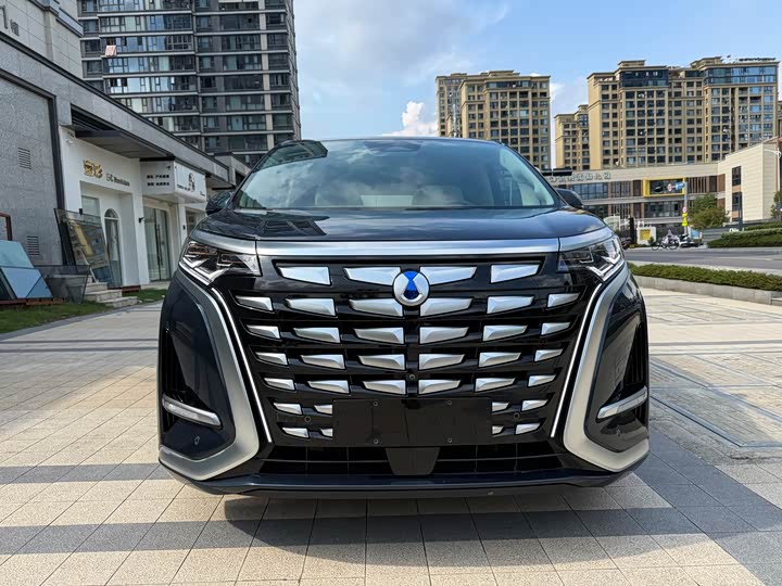 Фото 2 - Denza D9