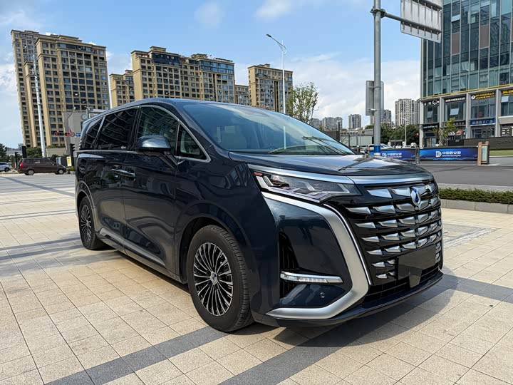 Фото 3 - Denza D9