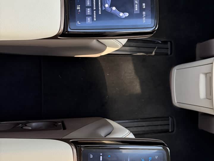 Фото 9 - Denza D9