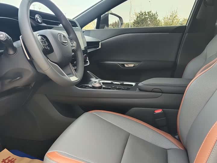 Фото 10 - Lexus RZ