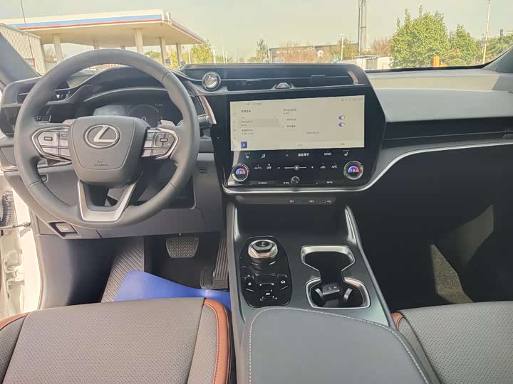 Фото 12 - Lexus RZ