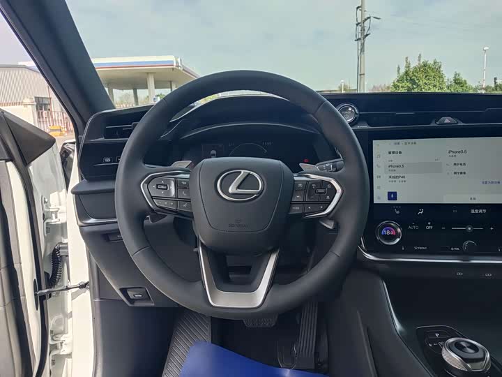 Фото 14 - Lexus RZ