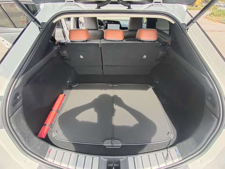 Фото 15 - Lexus RZ