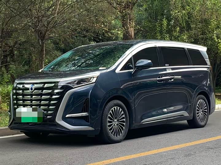 Фото 1 - Denza D9