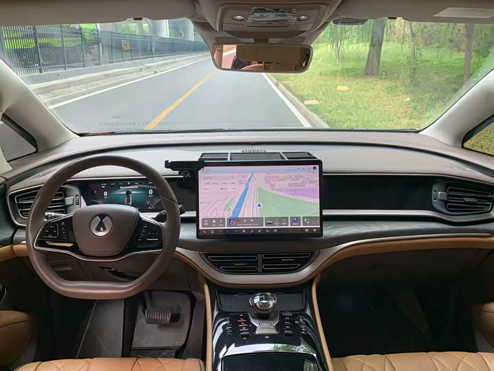 Фото 10 - Denza D9