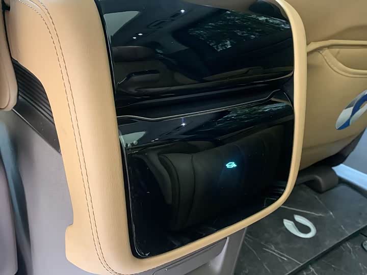 Фото 12 - Denza D9