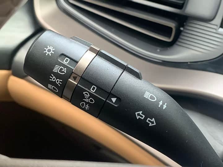 Фото 14 - Denza D9