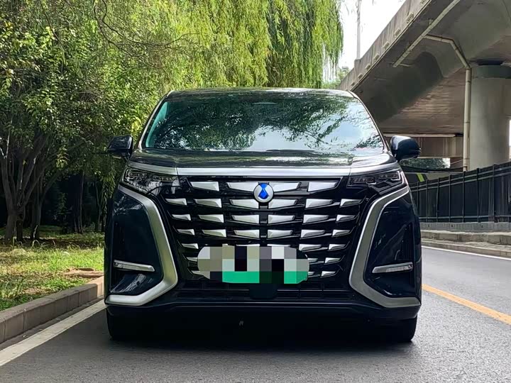 Фото 2 - Denza D9