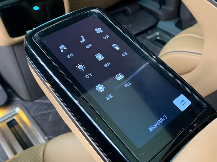 Фото 23 - Denza D9