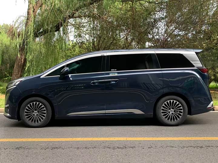 Фото 3 - Denza D9