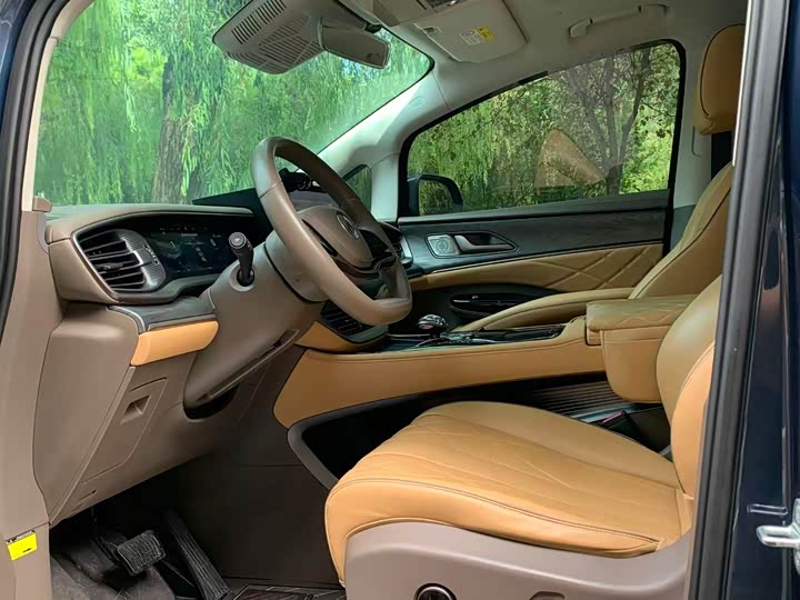 Фото 6 - Denza D9