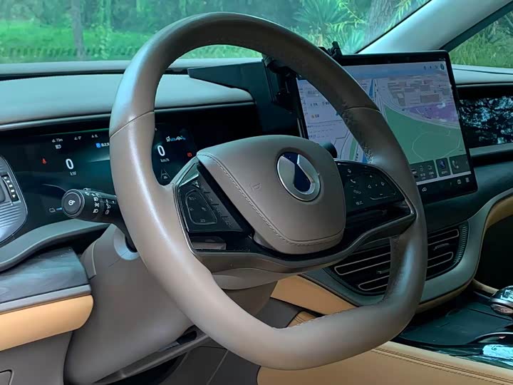 Фото 7 - Denza D9