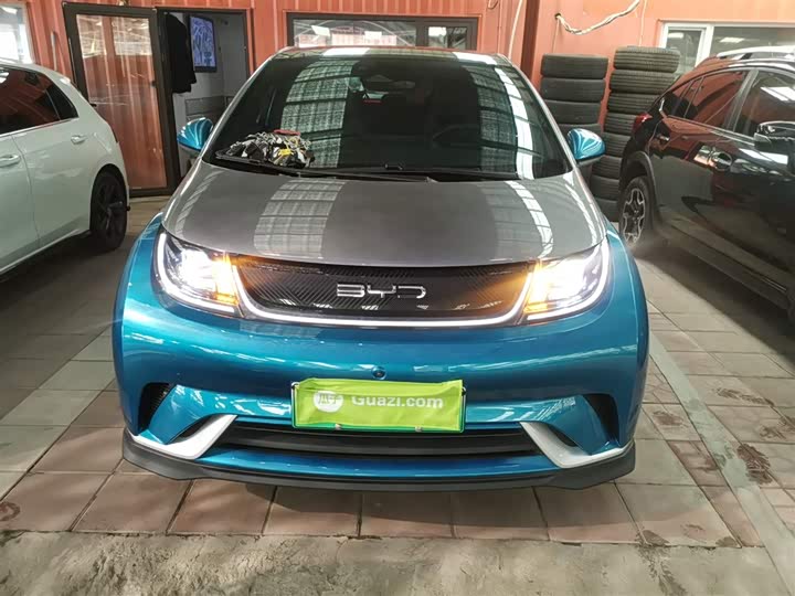 Фото 3 - BYD Dolphin