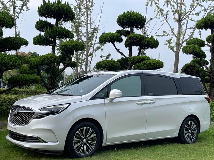 Фото 10 - Buick GL8 ES