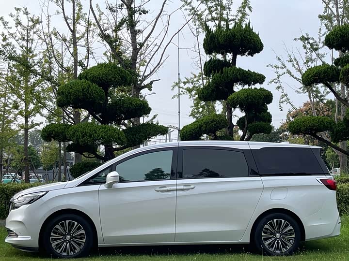 Фото 11 - Buick GL8 ES