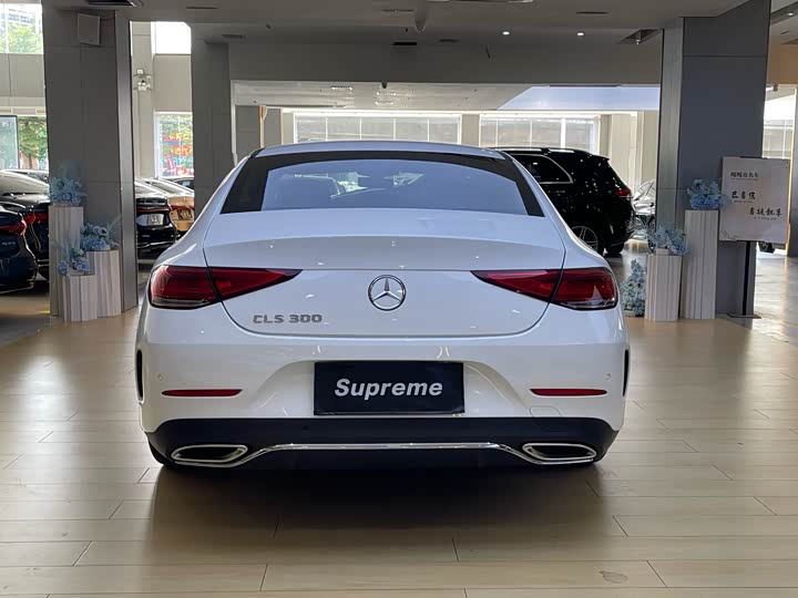 Фото 10 - Mercedes-Benz CLS-Class