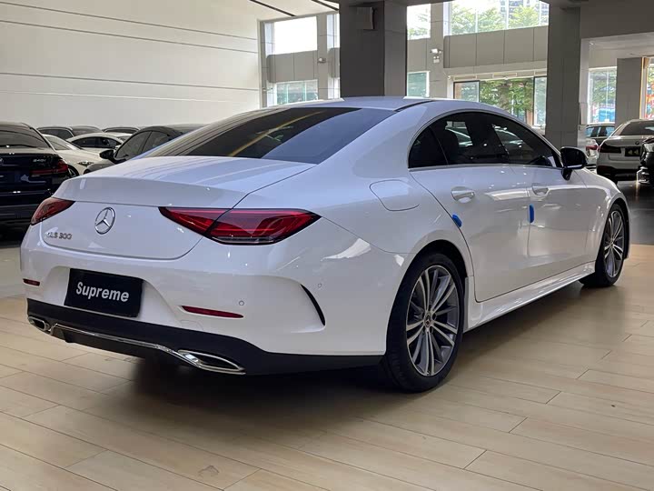 Фото 11 - Mercedes-Benz CLS-Class