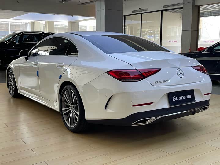 Фото 9 - Mercedes-Benz CLS-Class