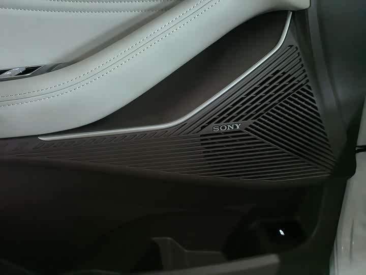 Фото 9 - Exeed RX C-DM Hybrid