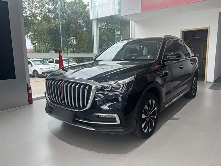 Фото 6 - Hongqi HS7
