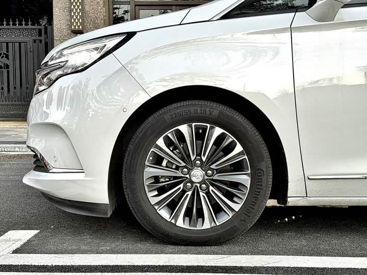 Фото 21 - Buick GL8 ES