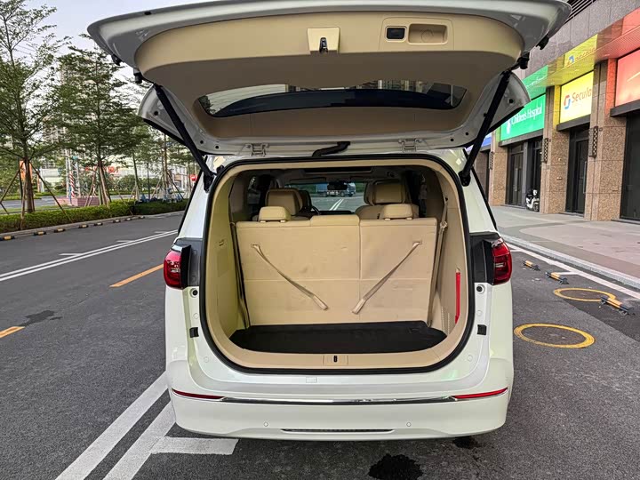 Фото 5 - Buick GL8 ES