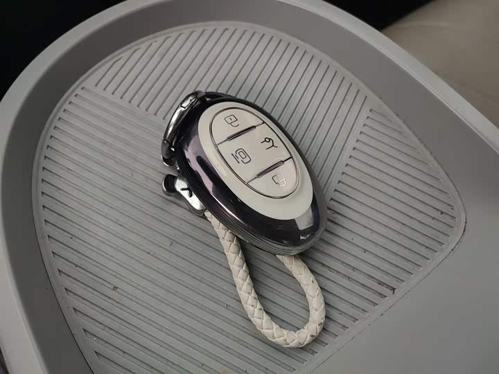 Фото 9 - BAIC Arcfox Kaola