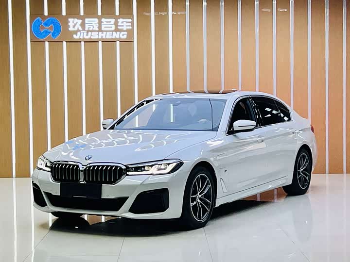 Фото 1 - BMW 5 Series Hybrid