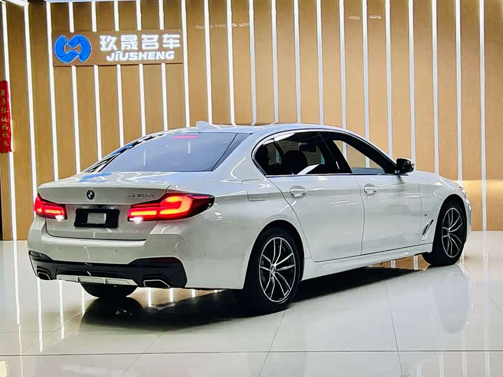 Фото 10 - BMW 5 Series Hybrid