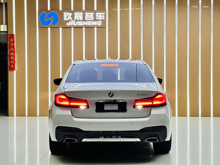 Фото 11 - BMW 5 Series Hybrid