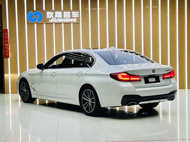 Фото 12 - BMW 5 Series Hybrid