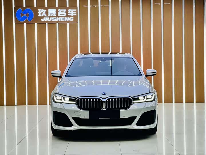 Фото 2 - BMW 5 Series Hybrid