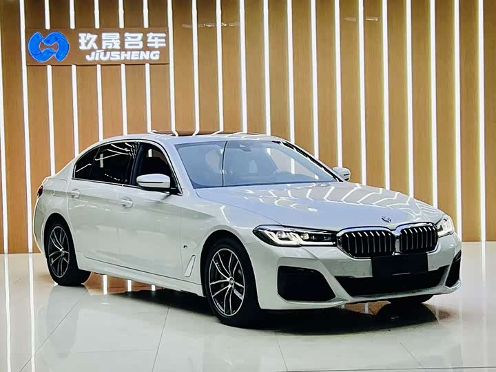 Фото 3 - BMW 5 Series Hybrid