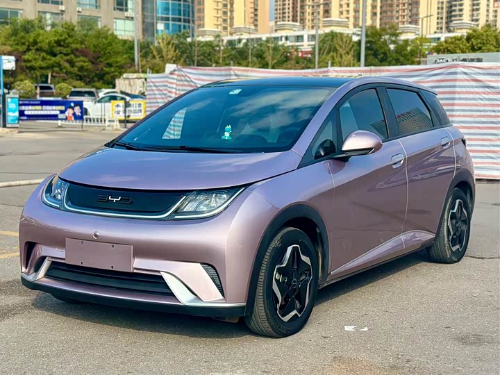 Фото 1 - BYD Dolphin