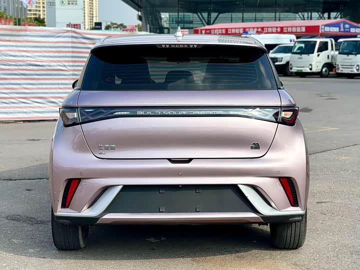 Фото 3 - BYD Dolphin