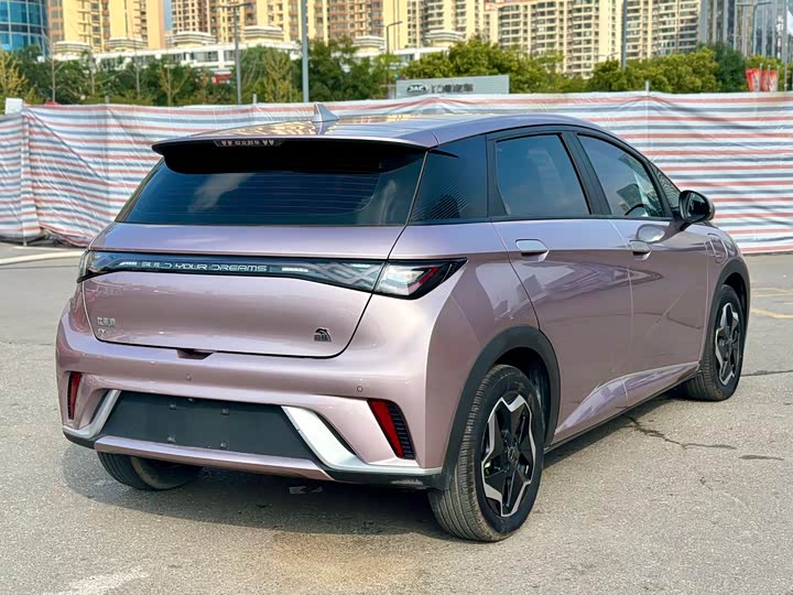 Фото 4 - BYD Dolphin