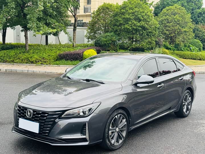 Фото 2 - Changan Raeton CC