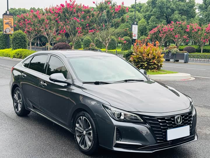 Фото 3 - Changan Raeton CC