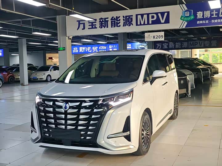 Фото 1 - Denza D9